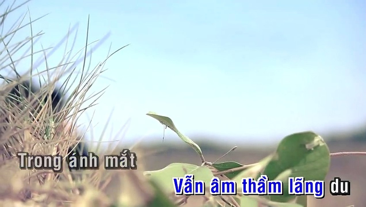 Gui ngan loi yeu - Tuan Hung