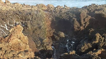 Hanh phuc cua con - Bang Cuong