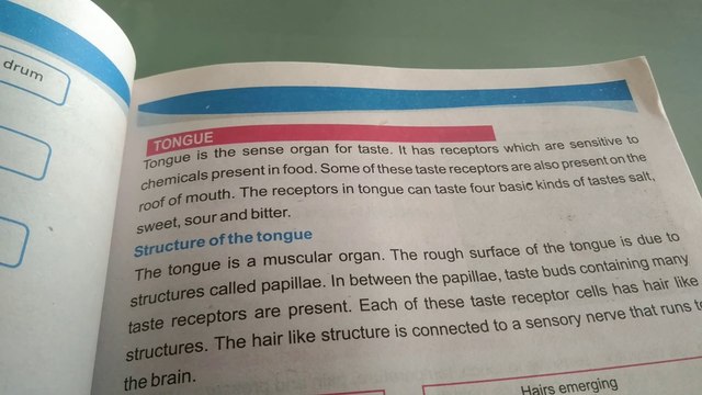 chapter two sense organs tongue
