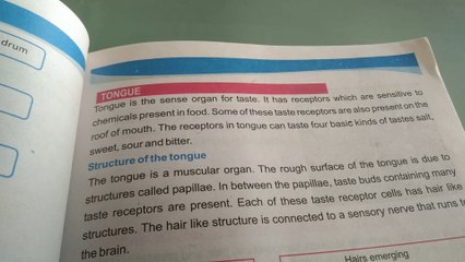 chapter two sense organs tongue