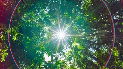 Beautiful Nature Landscape Background Video
