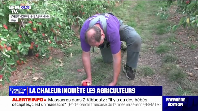 La chaleur inquiète les agriculteurs