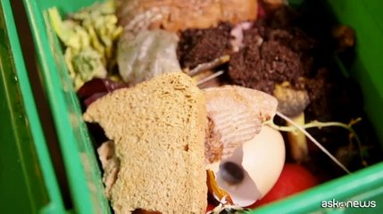 La filiera del biowaste decisiva per uno sviluppo sostenibile