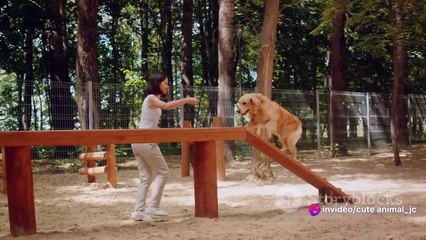 The Power of Positive Reinforcement Training