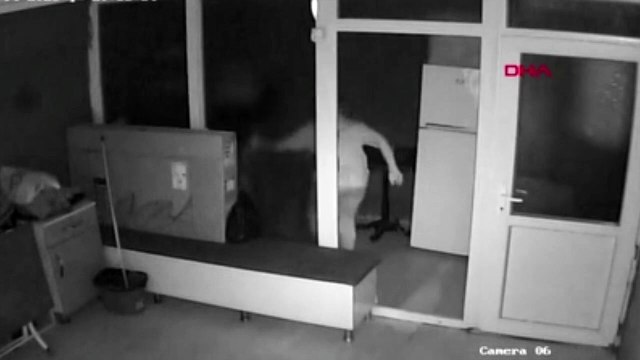 Kediyi acımasızca tekmeleyen çırak serbest bırakıldı