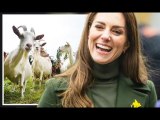 Royal Family LIVE: Kate sends ancestry experts into frenzy with bizarre goat farmer claim