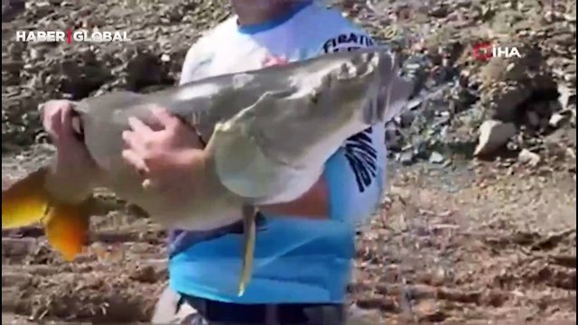 Yakaladığı 40 kiloluk dev Fırat turnasını popülasyonu korumak için tekrar suya bıraktı