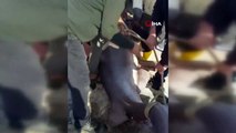 Marmara'da 1 tonluk köpekbalığı yakalandı