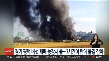 경기 평택 버섯 재배 농장서 불…7시간여 만에 불길 잡아