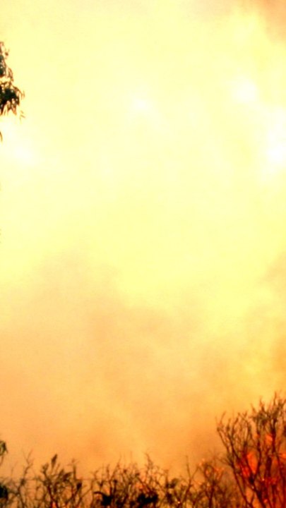 CAM - Feux de forêt : ces stratégies efficaces mises en place pour prévenir les incendies
