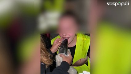 Investigan a ocho estudiantes de una residencia de Madrid por novatadas vejatorias