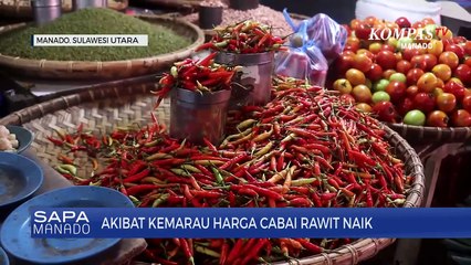 Harga Cabai Rawit Naik Drastis Akibat Musim Kemarau