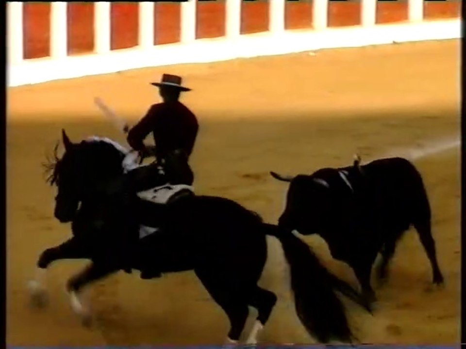 TARDE DE TOROS - GINES CARTAGENA - FERMIN BOHORQUEZ - JAVIER MAYORAL - PABLO HERMOSOS DE MENDOZA 23.09.95 NUESTRA SEÑORA DE SAN LORENZO Y SAN MATEO 7º ABONO