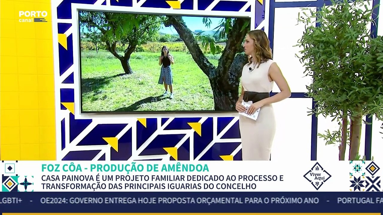 Viver Aqui - 10 de outubro, parte 2