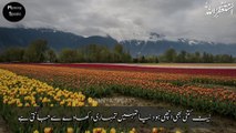 Amazing Collection Quotes In Urdu | Islamic Quotes In Urdu | Quotes About Allah In Urdu |Urdu Poetry