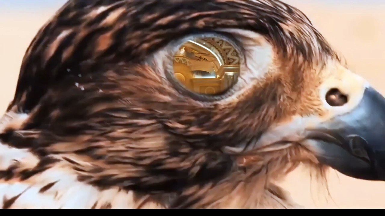 QUAD BIKING IN DESERT SAFARI DUBAI | EASYLINETOURISM