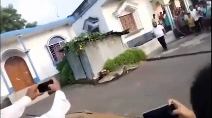 यहां मगरमच्छ को पानी में नहीं सडक़ पर देखा घूमते