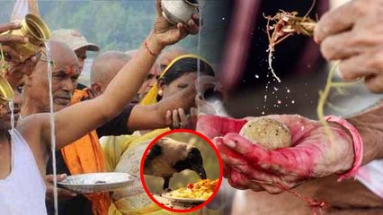 Trayodashi Shradh Pooja Vidhi 2023: त्रयोदशी श्राद्ध कैसे करें | त्रयोदशी श्राद्ध पूजा विधि |Boldsky