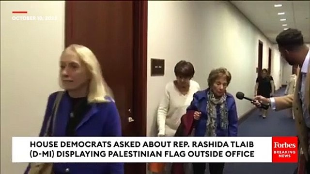 Multiple Democratic Lawmakers Asked About Rashida Tlaib Displaying Palestinian Flag—Here's What They Say
