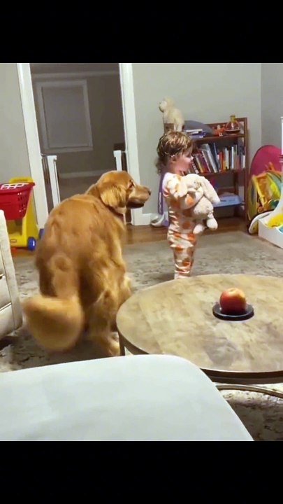 Animals Funny Compilation |Animals Funny Reactions | Animals Funny Moments | Cute Pets #animal #cats #satisfyingvideos #catshorts #parrot #dog