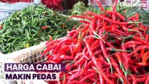 Harga Cabai Makin Pedas di Pasar, Ternyata Ini Pemicunya