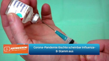 Corona-Pandemie löschte scheinbar Influenza-B-Stamm aus