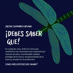 -Jacobo Shemaria Capuano- ¡Vinos más costosos del mundo! Parte (1) (Creado por @JacoboShemariaCapuano)