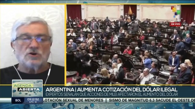 “Más allá de las declaraciones de Milei, hay problemas estructurales de la economía muy fuertes”