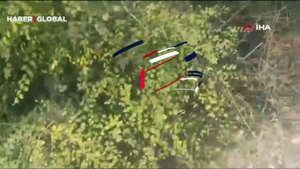 Ağaç üzerinde ayı yavrusu görüntülendi