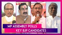 Madhya Pradesh Assembly Polls 2023: Shivraj Singh Chouhan, Narottam Mishra & Other Key BJP Candidates & Their Constituencies