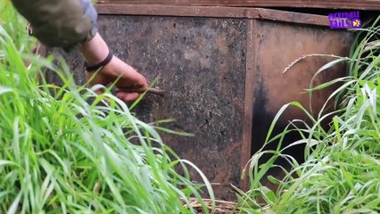 Tasmanian Devil Joeys Undergo First Health Checks