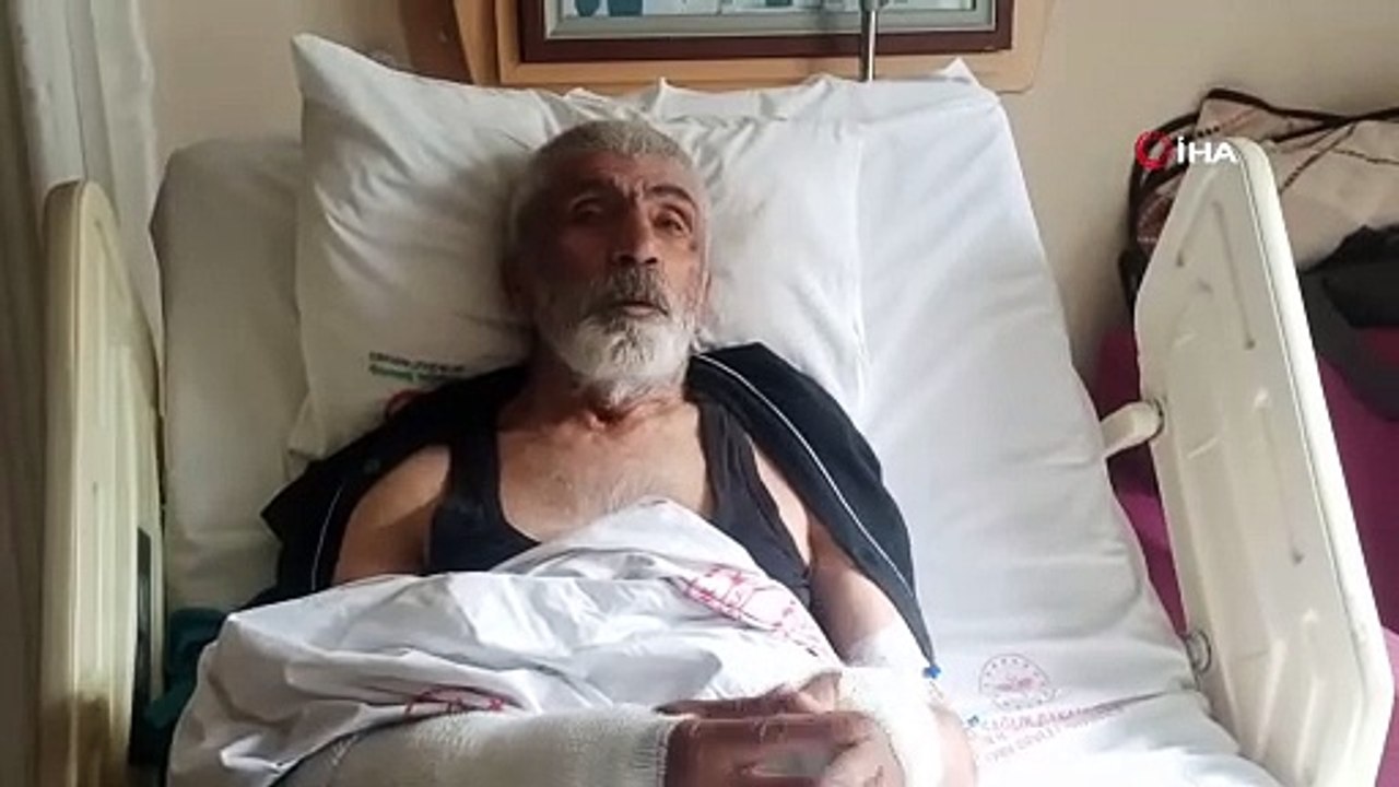 Ayı Saldırısından Komşularının Ayıyı Öldürmesi İle Kurtulan Yaşlı Adam O Anları Anlattı!