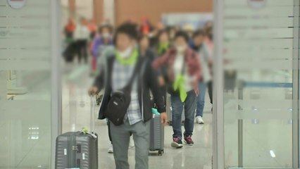 이스라엘 체류 한국인 192명 무사히 귀국 / YTN