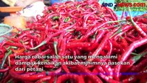 Ternyata Ini Pemicu Harga Cabai Makin Pedas di Pasaran