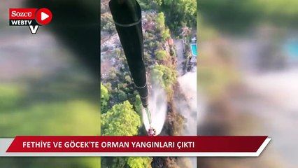 Fethiye’de orman yangını