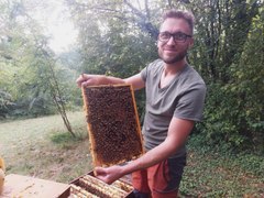 Apiculteur, Étienne manipule ses abeilles sans protection : voici comment il s'y prend