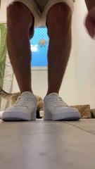 Il a laissé le chat sortir du sac