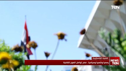 رسميًا وشعبيًا وسياسيًا.. مصر تواصل العون للقضية الفلسطينية