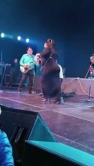 Eva Ayllón realiza 'pasito chocolatero' en concierto