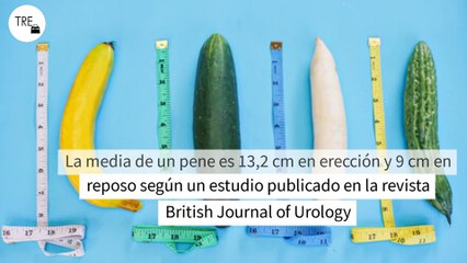 "Mi pareja tiene el pene pequeño": posturas, trucos y consejos para que disfrutéis los dos