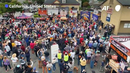 Oh my gourd: Hippo-sized pumpkin is world's biggest