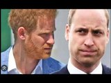 Il principe Harry “si dà ancora dei pizzicotti” dopo essersi liberato dalla “camicia di forza reale”