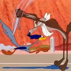 Watch the Best Roadrunner Video Ever! 🏃‍♂️