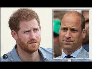 Le prince Harry « immature » qualifié de « terriblement jaloux » du prince William dans une rangée