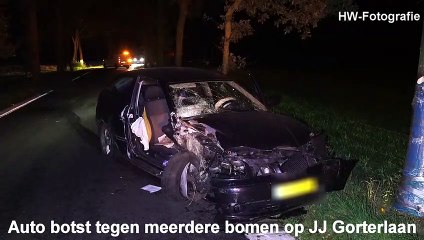 Auto botst tegen meerdere bomen op JJ Gorterlaan