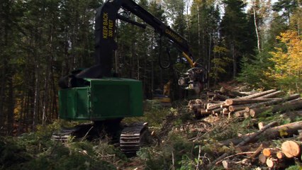 topo Scierie Ste-Perpetue