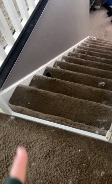 La vie avec Jax n'est jamais calme