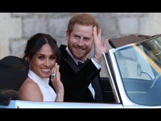 Meghan and Harry get armed police protection in Holland - as Dutch also won't let Duke pay