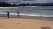 Shark shock: Man 'nearly walks into shark' at iconic Aussie beach