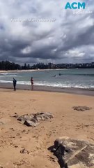 Download Video: Shark shock: Man 'nearly walks into shark' at iconic Aussie beach